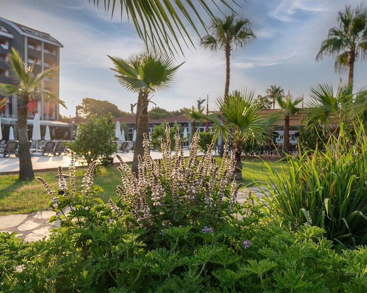 CASA FORA BEACH RESORT