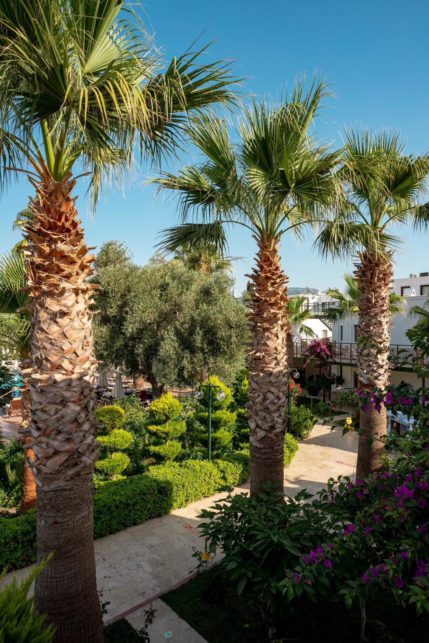 ANADOLU HOTEL BODRUM