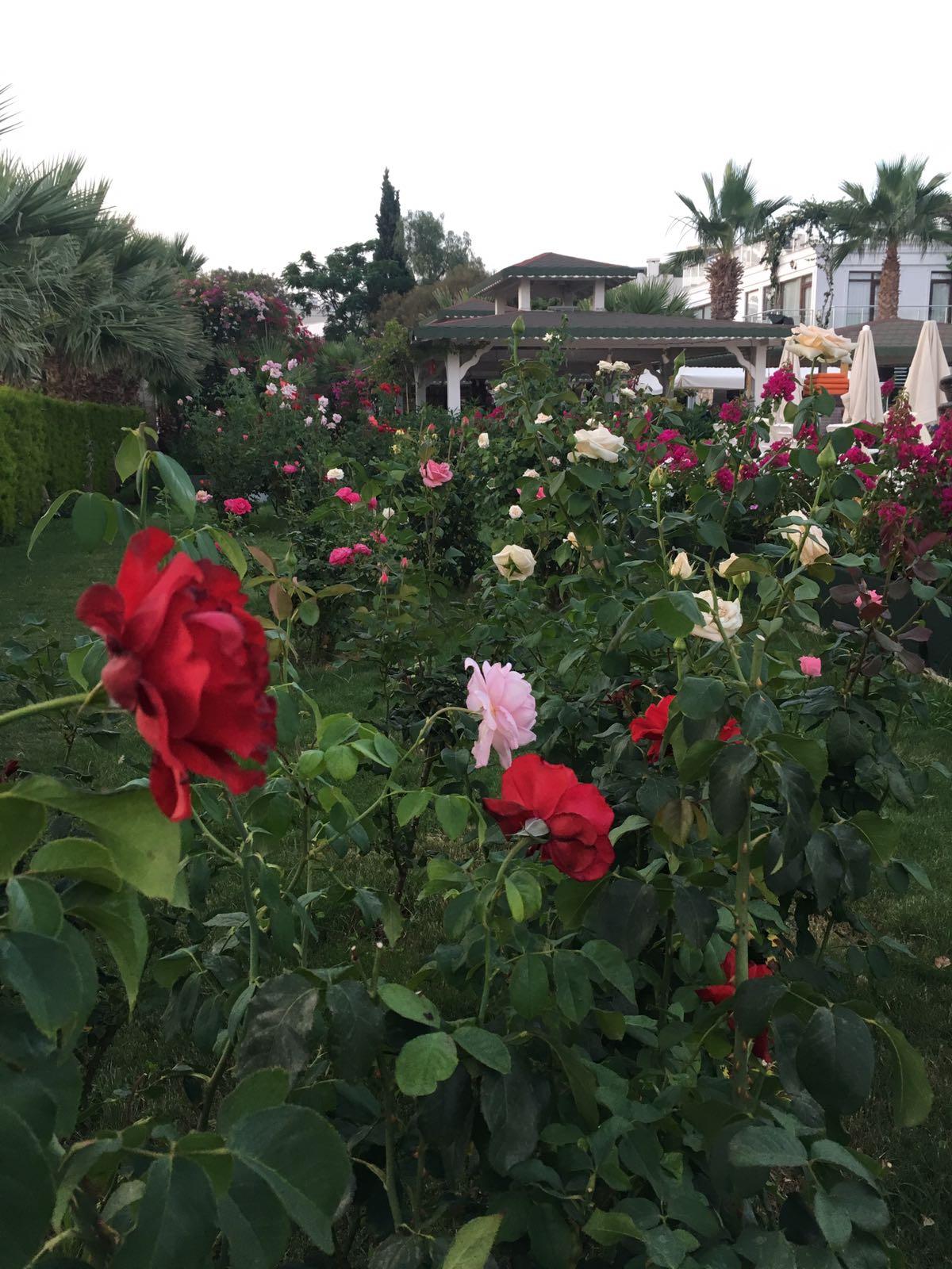 ANADOLU HOTEL BODRUM