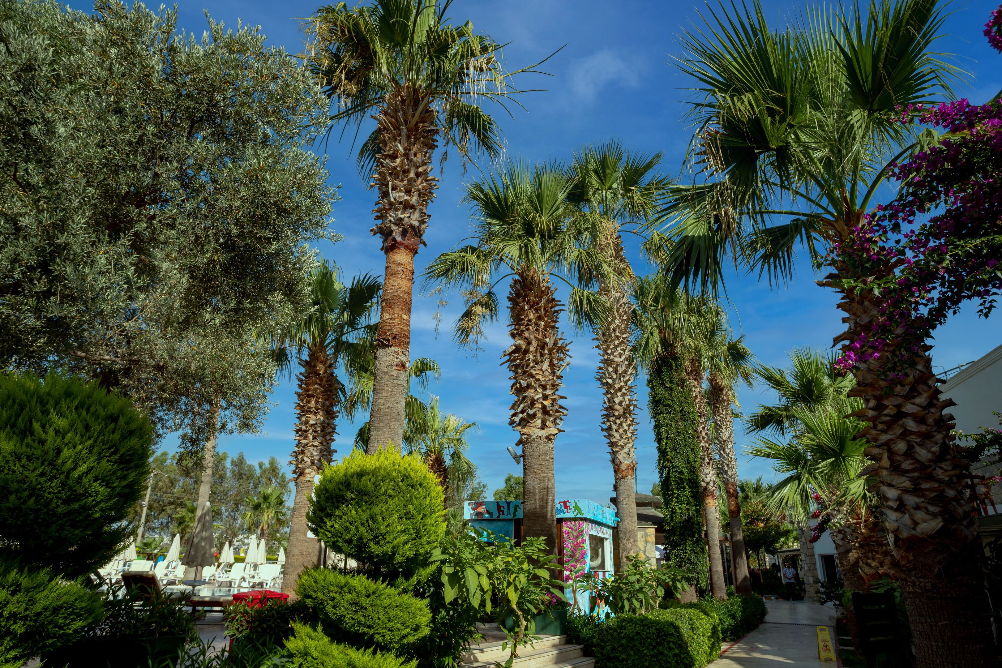 ANADOLU HOTEL BODRUM