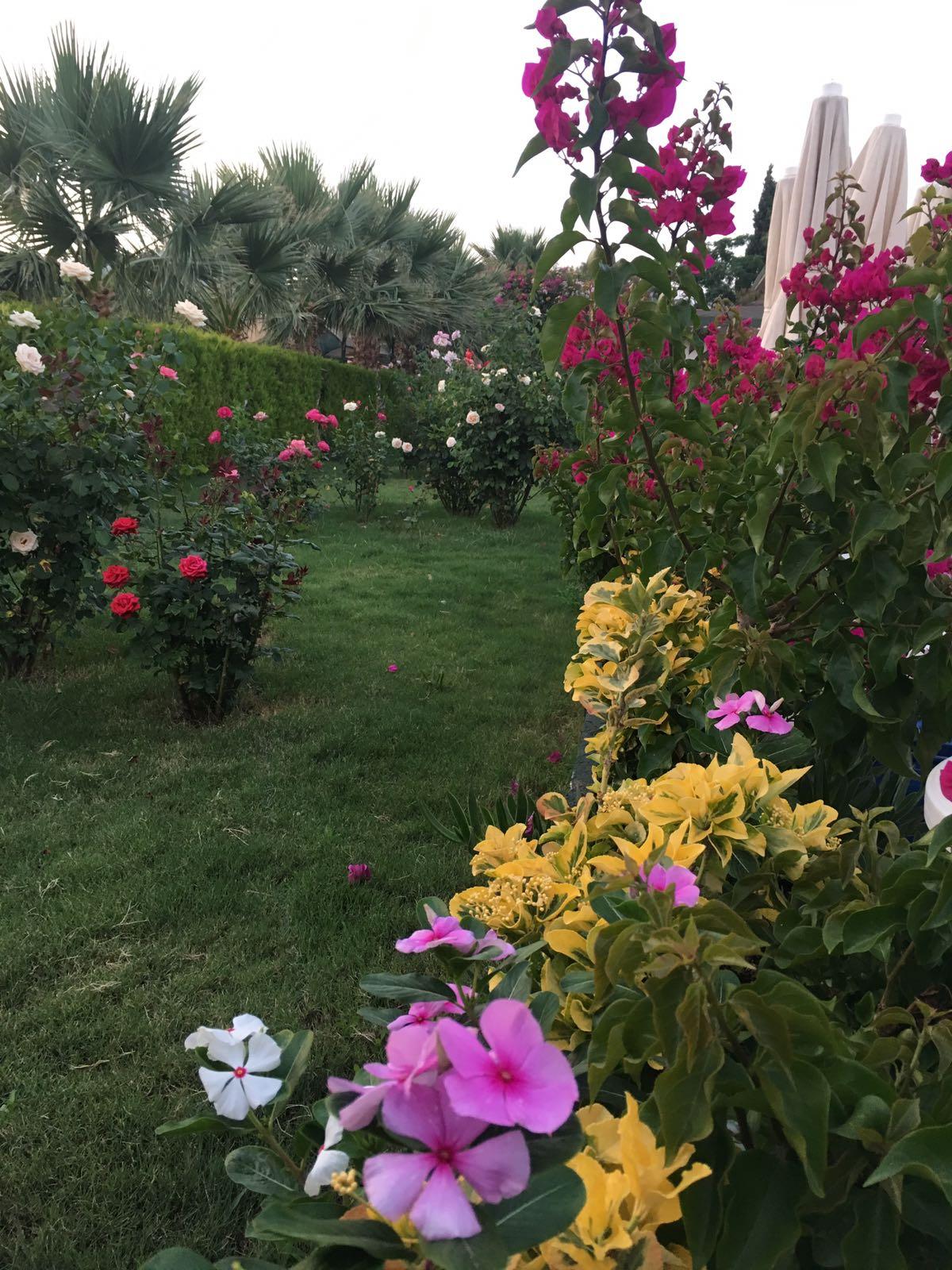 ANADOLU HOTEL BODRUM