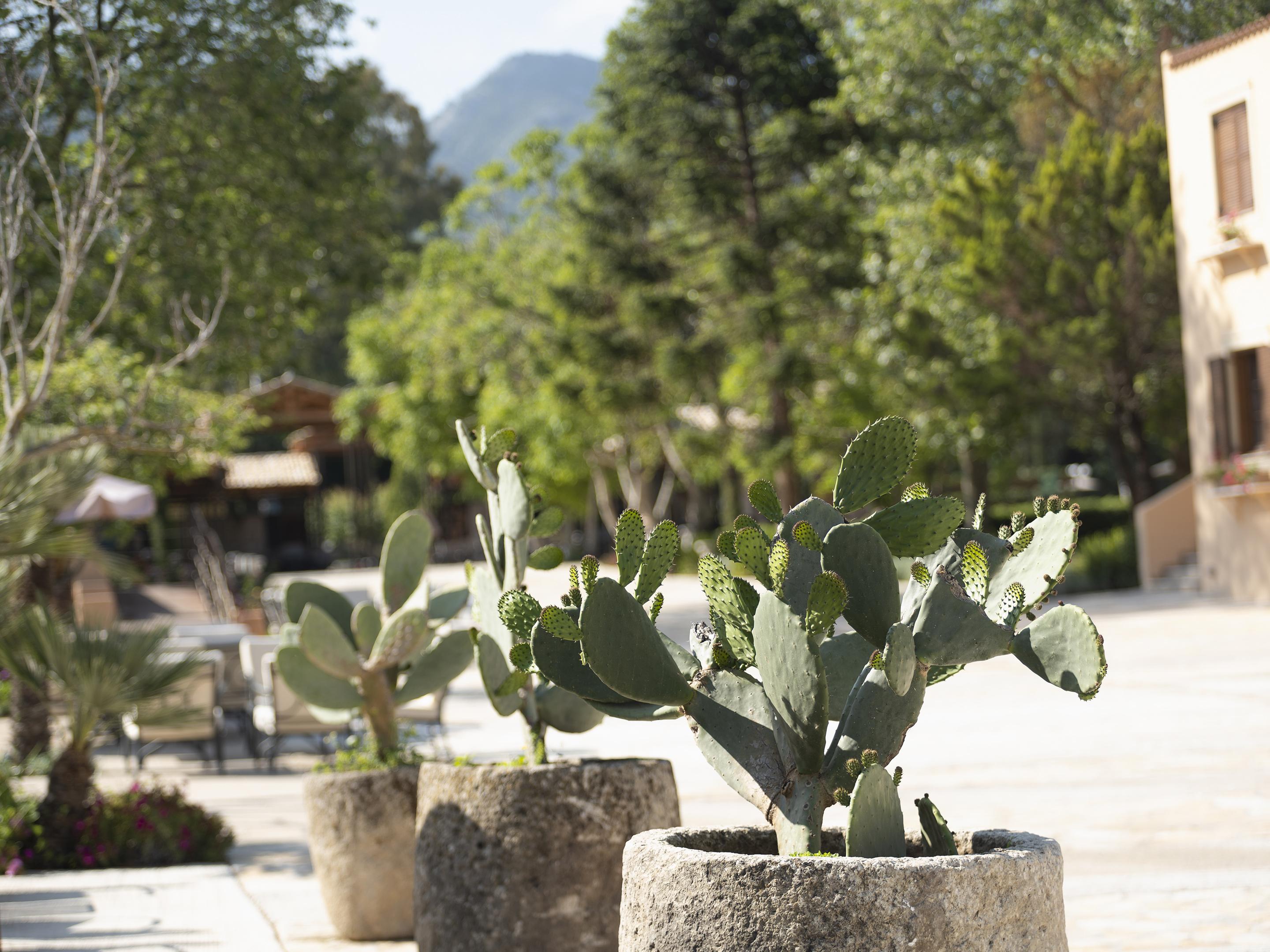 GRECOTEL LUXME COSTA BOTANICA