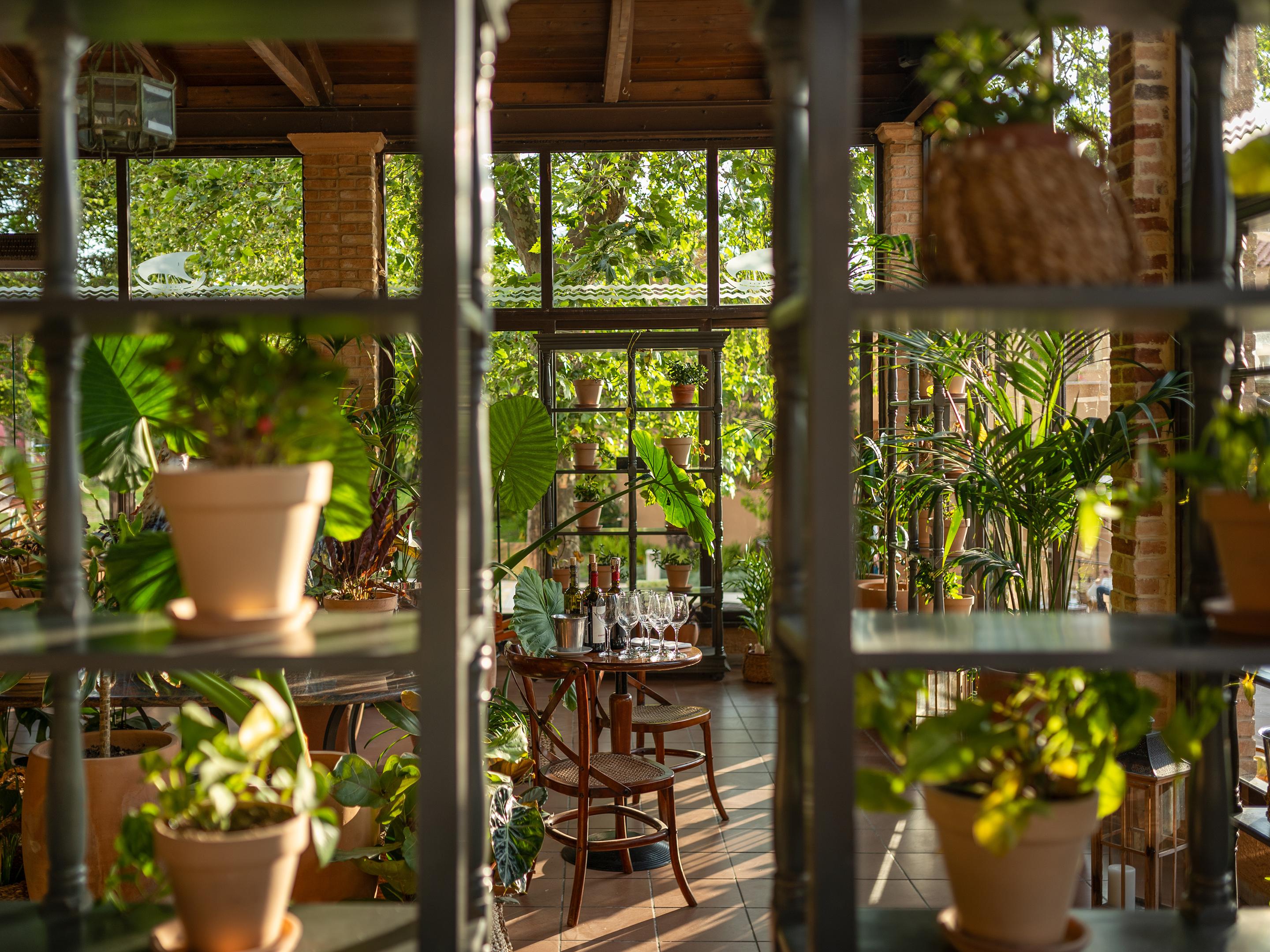 GRECOTEL LUXME COSTA BOTANICA