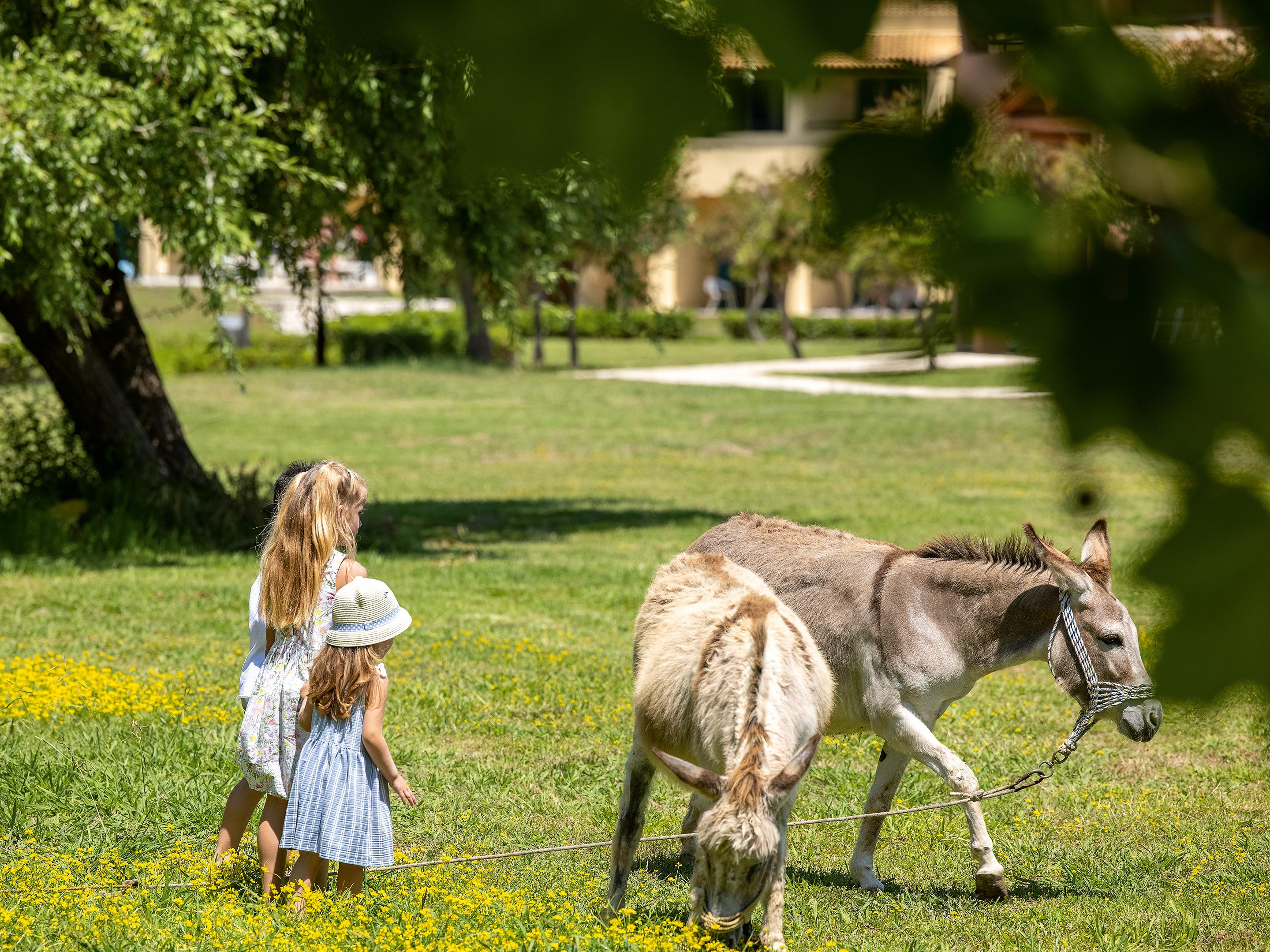 GRECOTEL LUXME COSTA BOTANICA