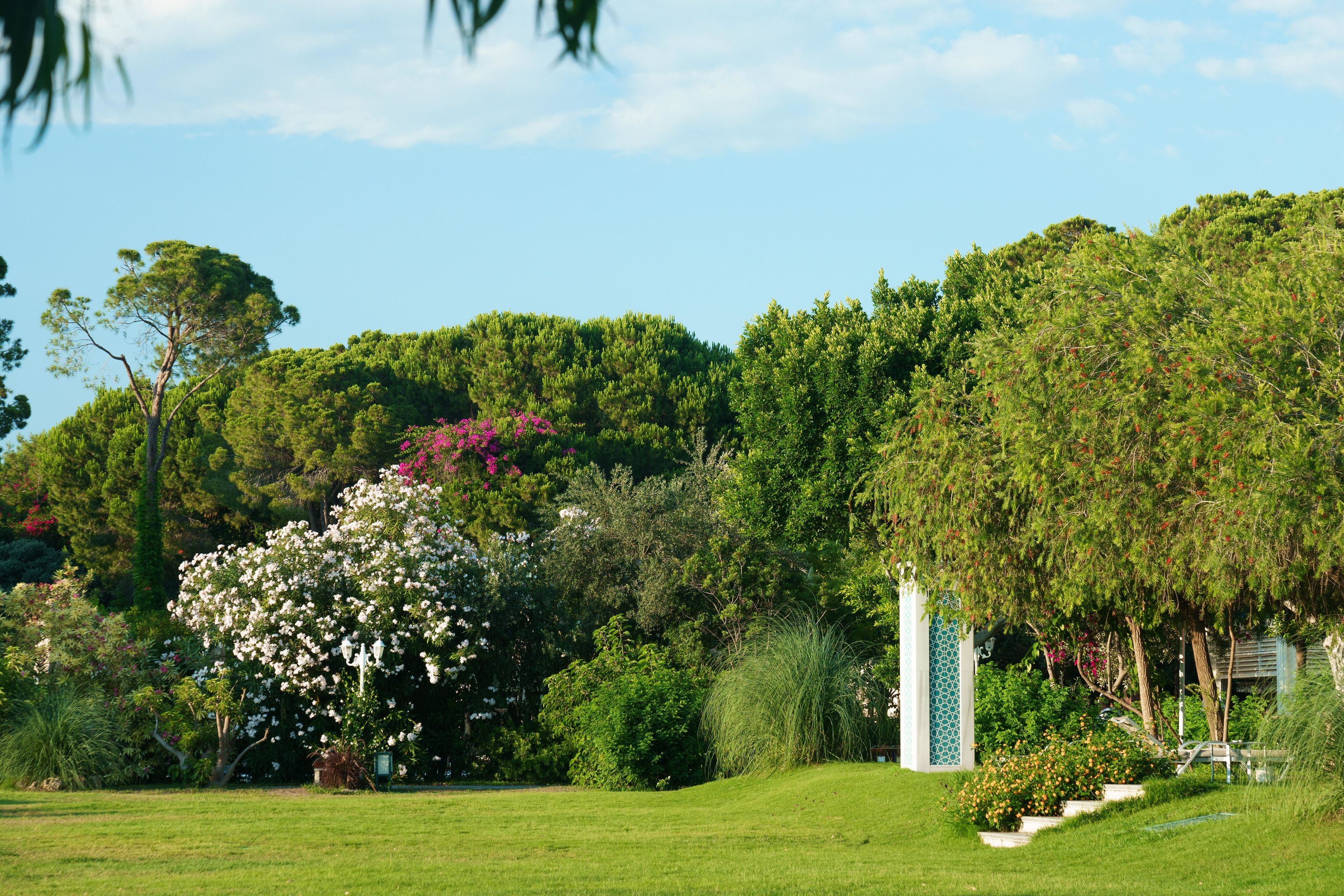 ALI BEY RESORT