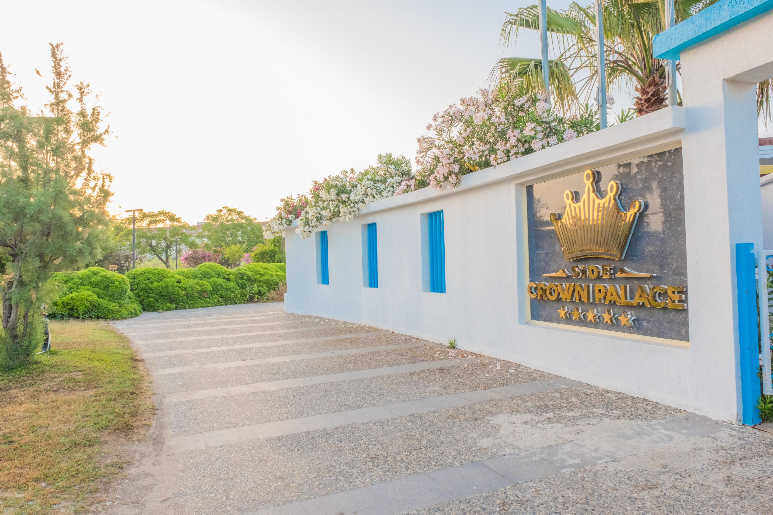 SIDE CROWN PALACE