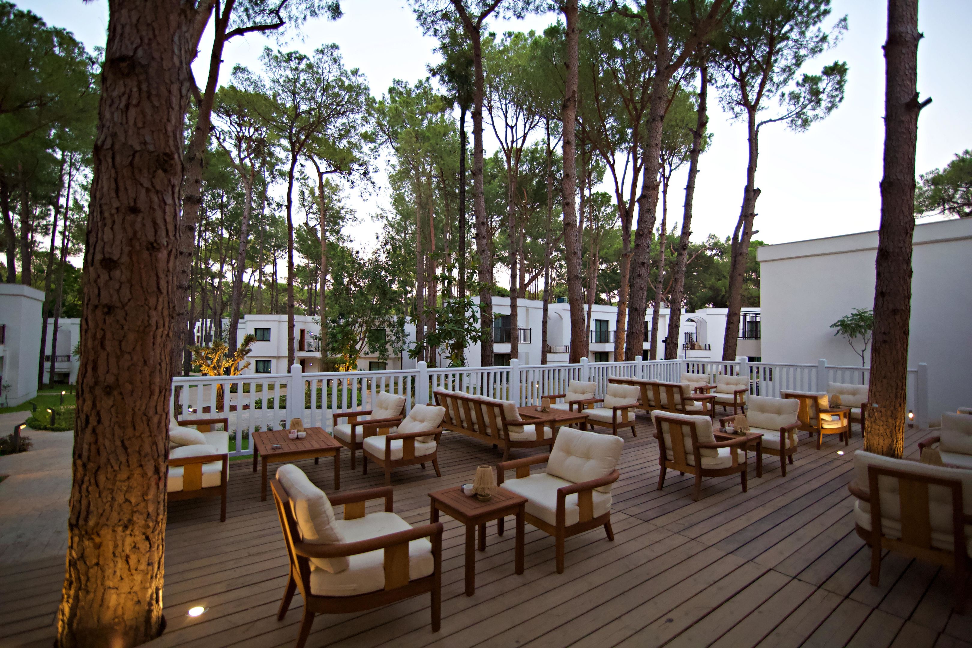 SIU COLLECTION (ex.Aydinbey Siu Collection)