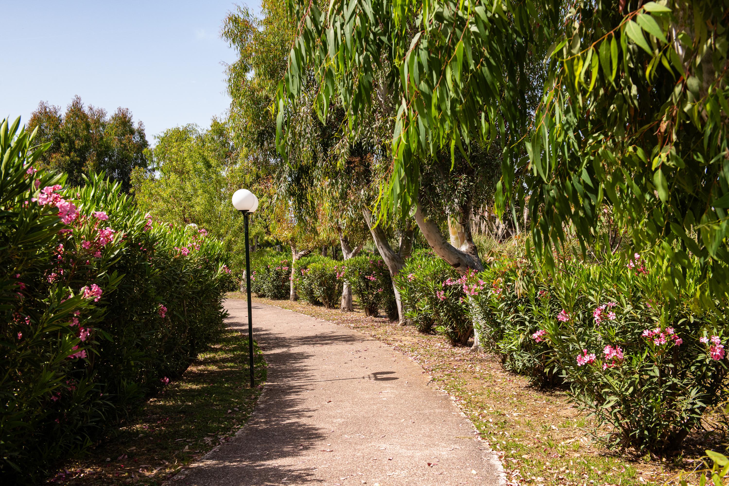 ALEXANDROS PALACE HOTEL AND SUITES