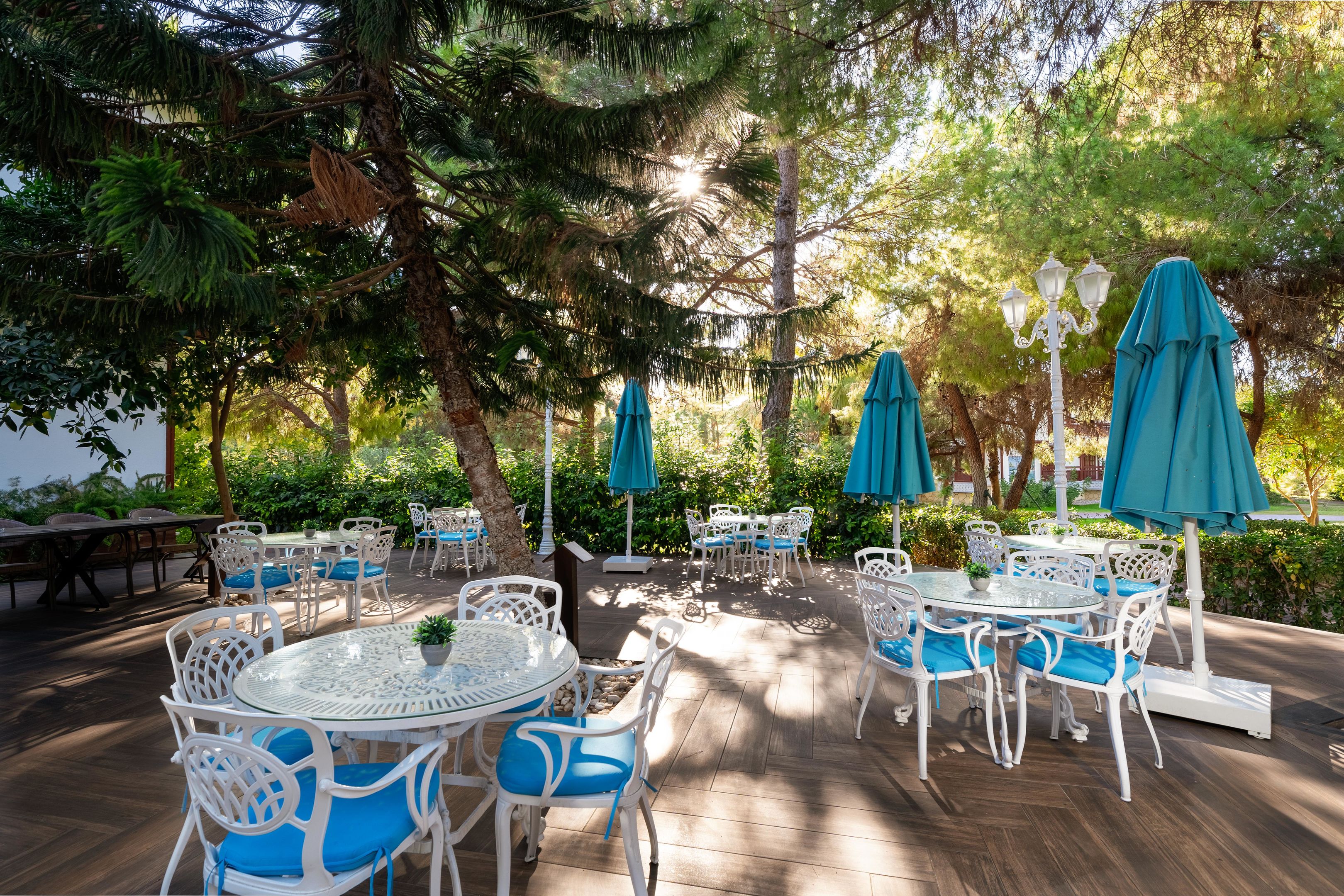 ALI BEY CLUB