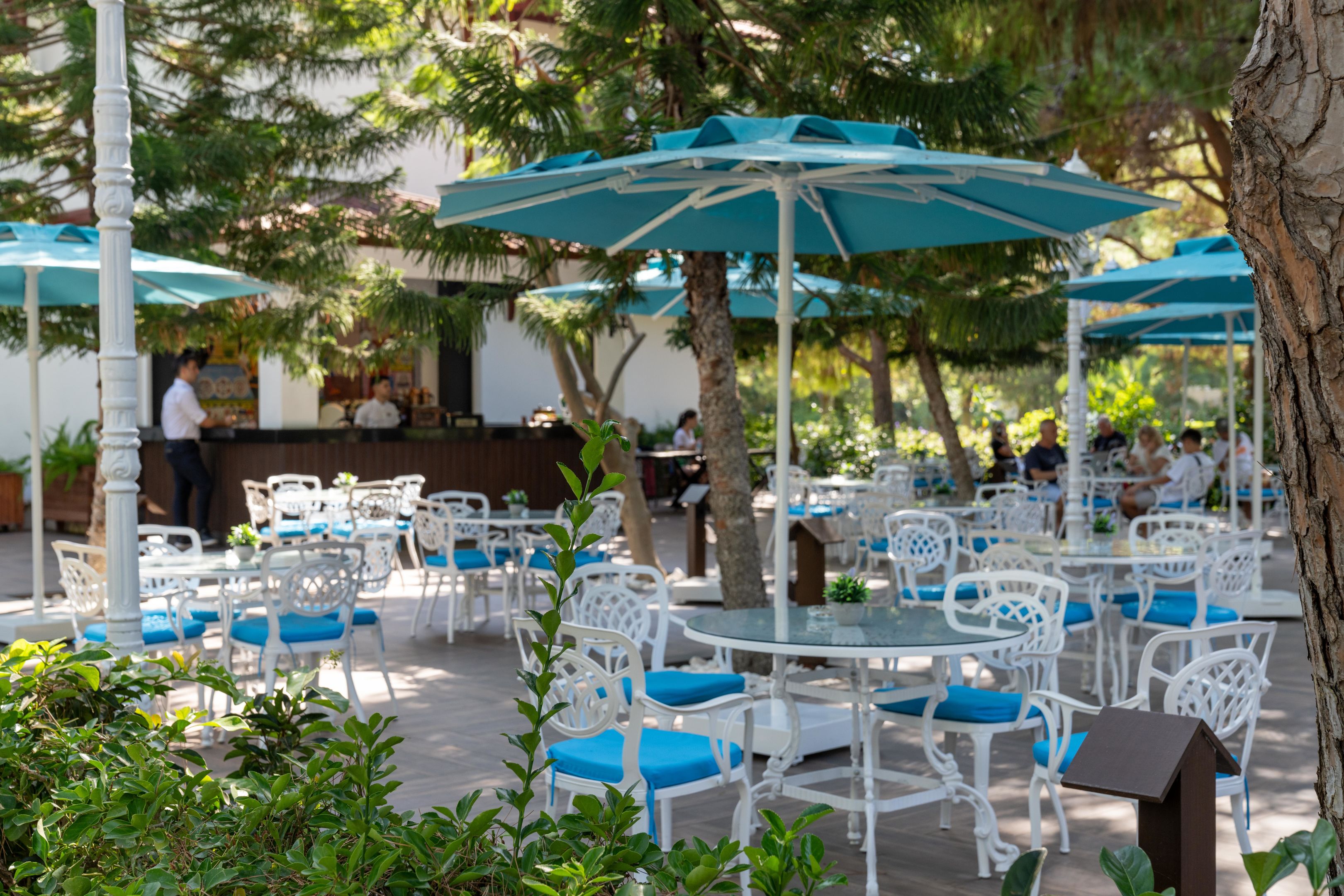 ALI BEY CLUB