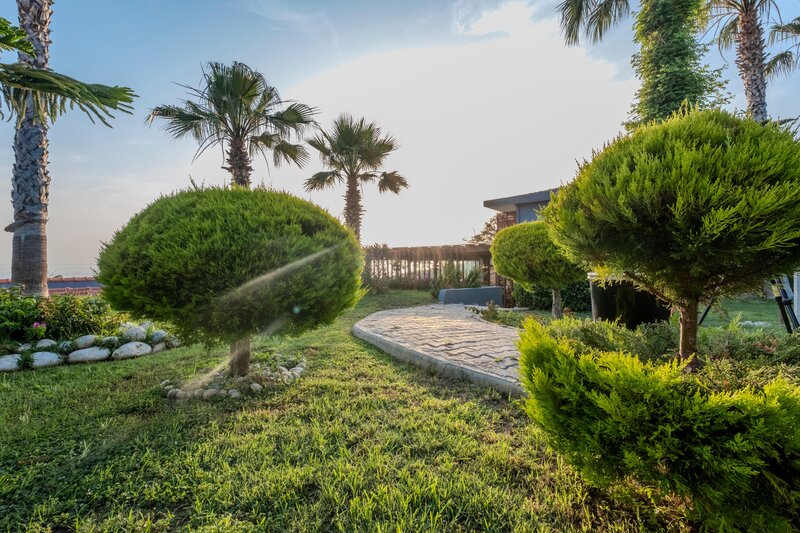 ADORA CALMA BEACH HOTEL ADULT ONLY 16+