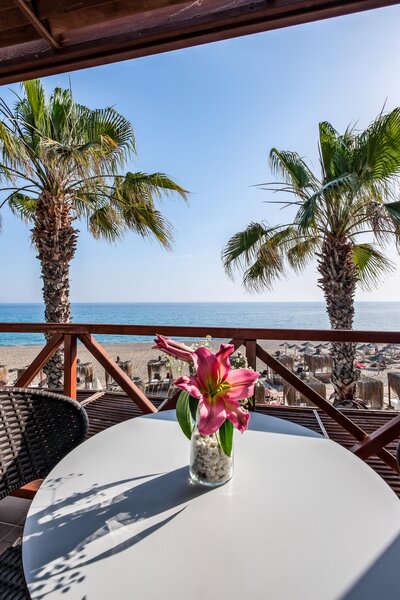 ADORA CALMA BEACH HOTEL ADULT ONLY 16+