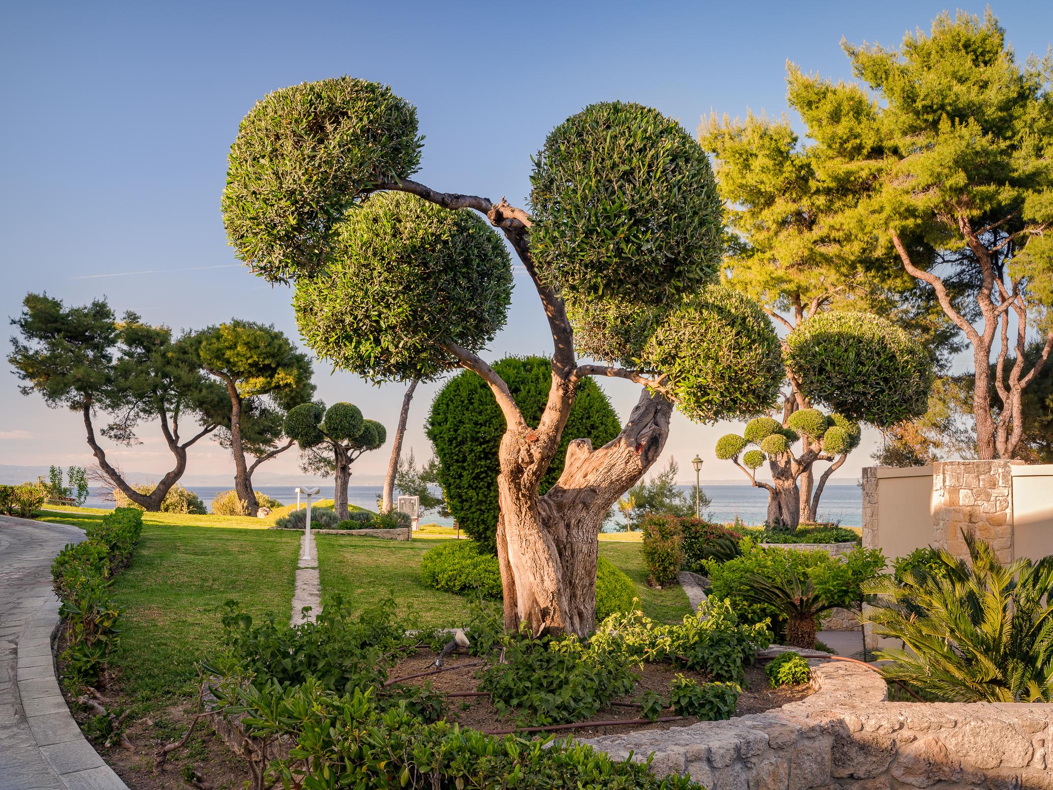AEGEAN MELATHRON THALASSO SPA HOTEL