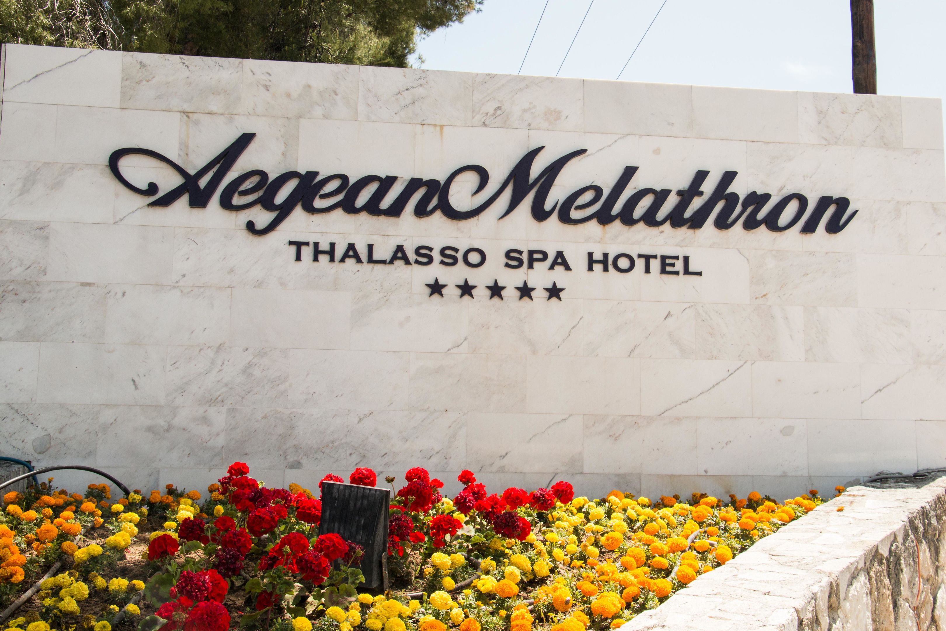 AEGEAN MELATHRON THALASSO SPA HOTEL