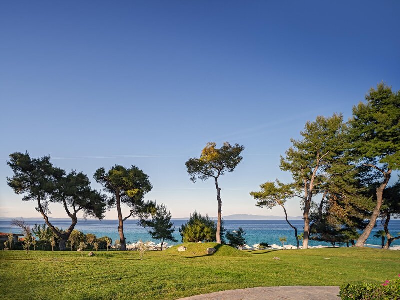 AEGEAN MELATHRON THALASSO SPA HOTEL