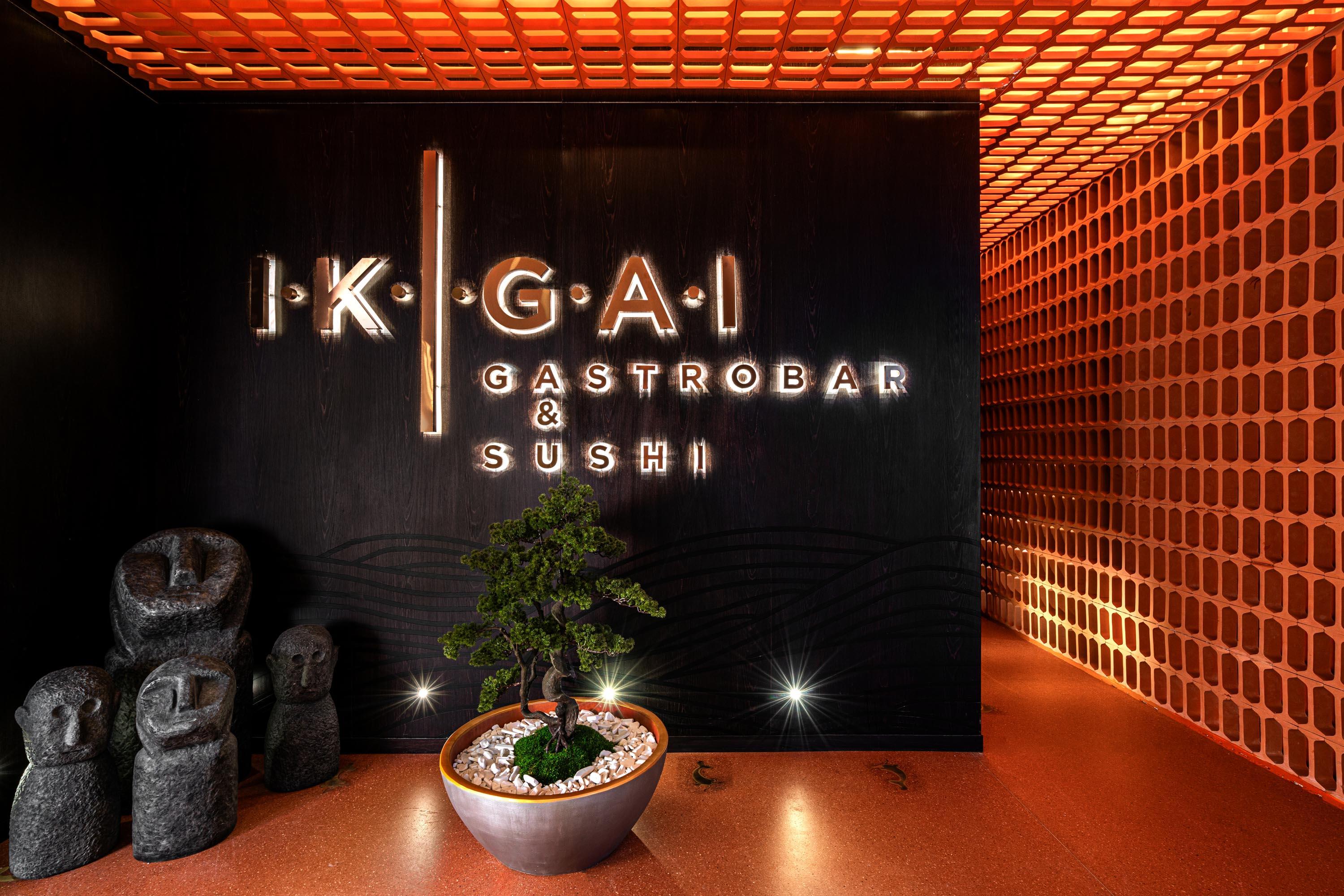 KIRMAN PREMIUM ARYCANDA DE LUXE