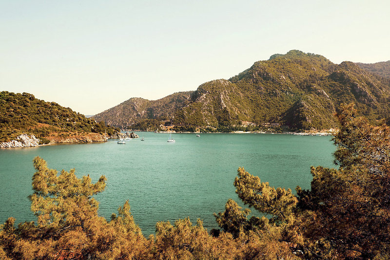 ORKA LOTUS BEACH
