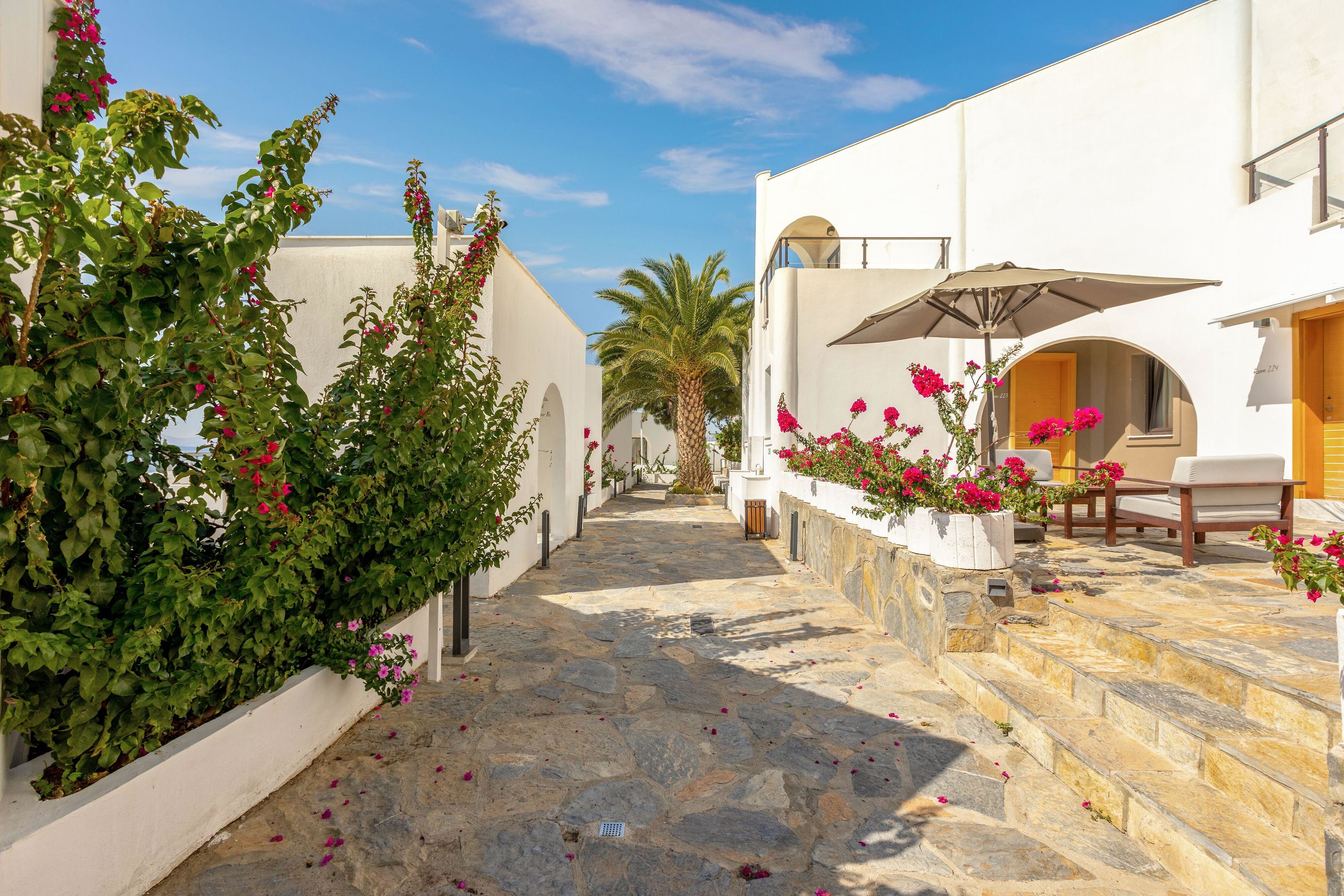 SENSES HOTEL 14+