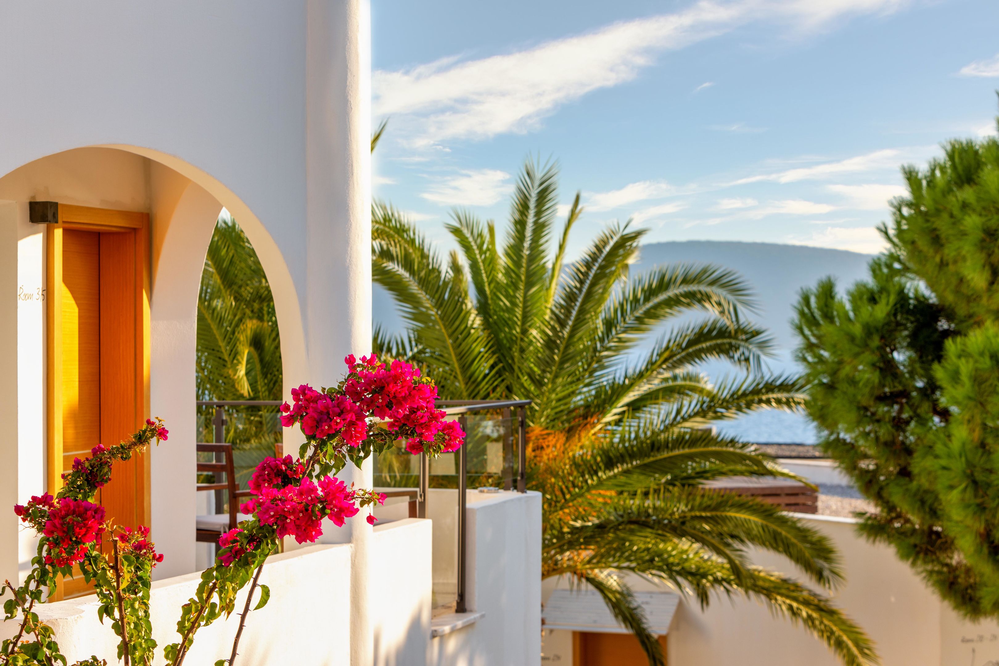 SENSES HOTEL 14+