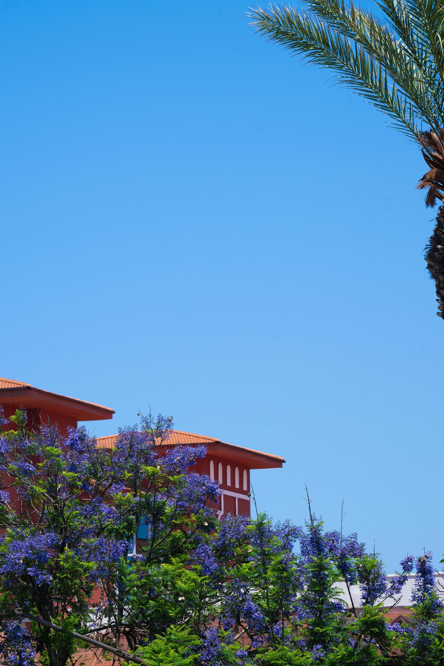 BELCONTI RESORT HOTEL