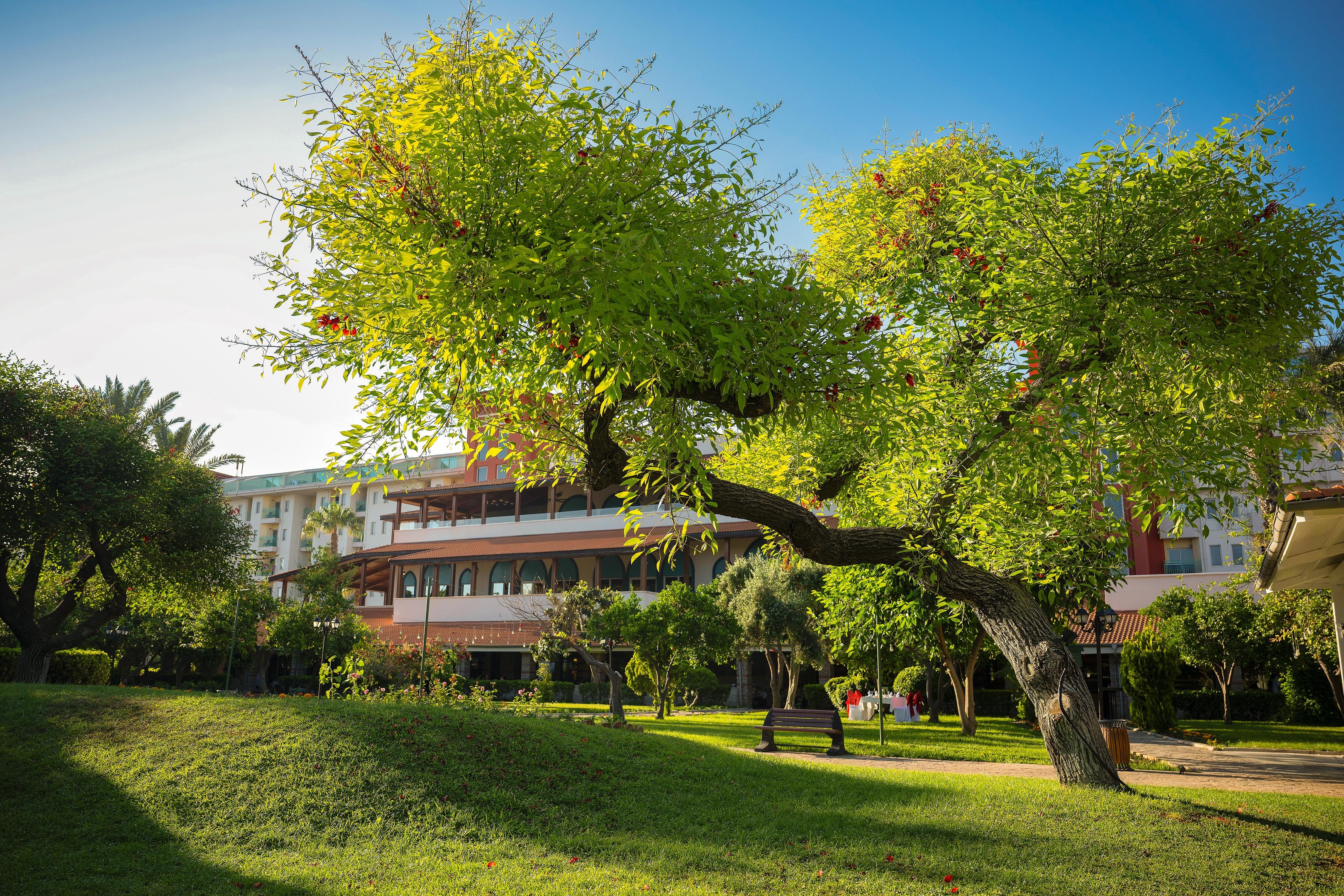 BELCONTI RESORT HOTEL