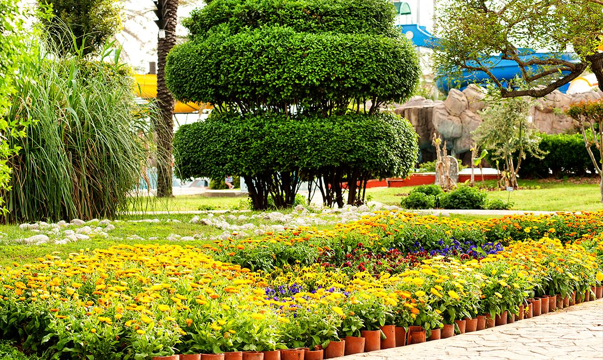 BELCONTI RESORT HOTEL