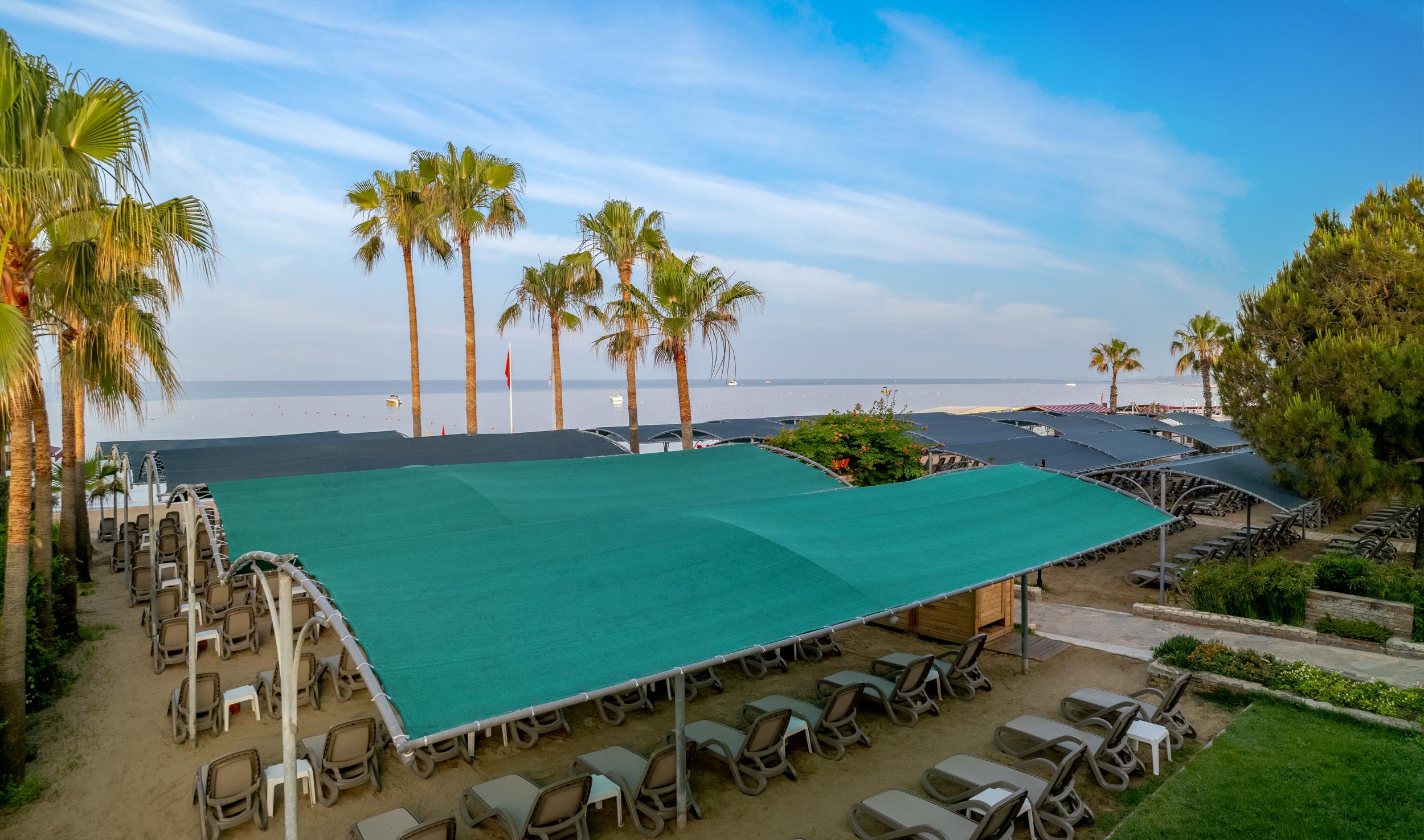 TRENDY PALM BEACH
