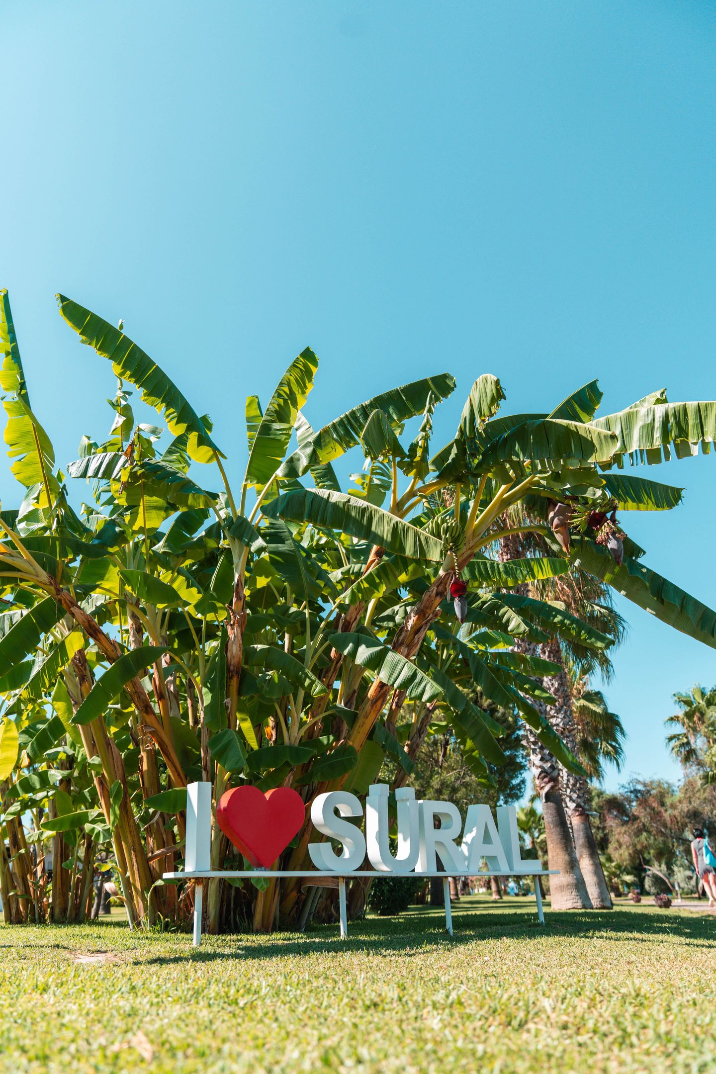 SURAL RESORT HOTEL