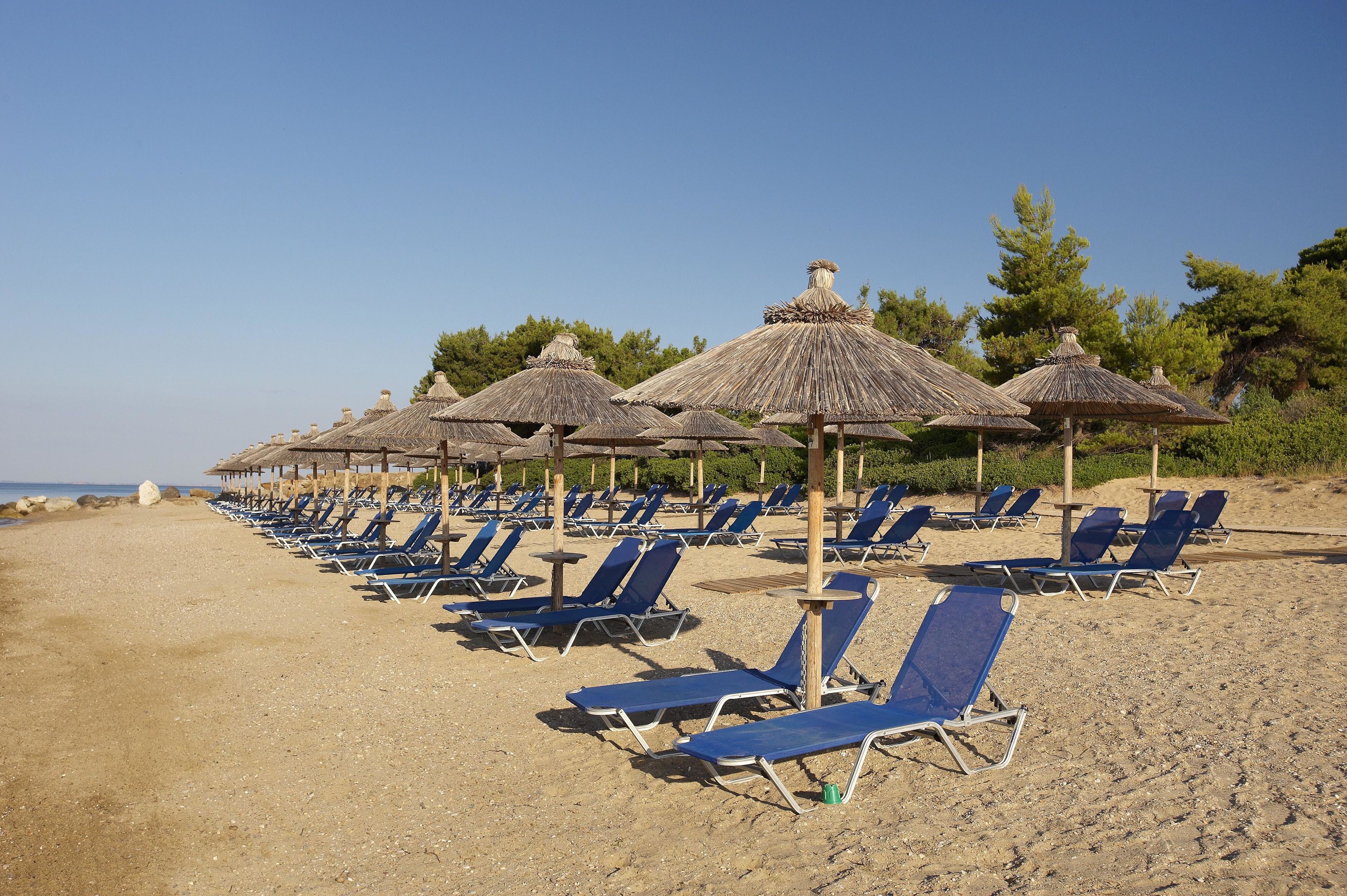 BLUE DOLPHIN HOTEL
