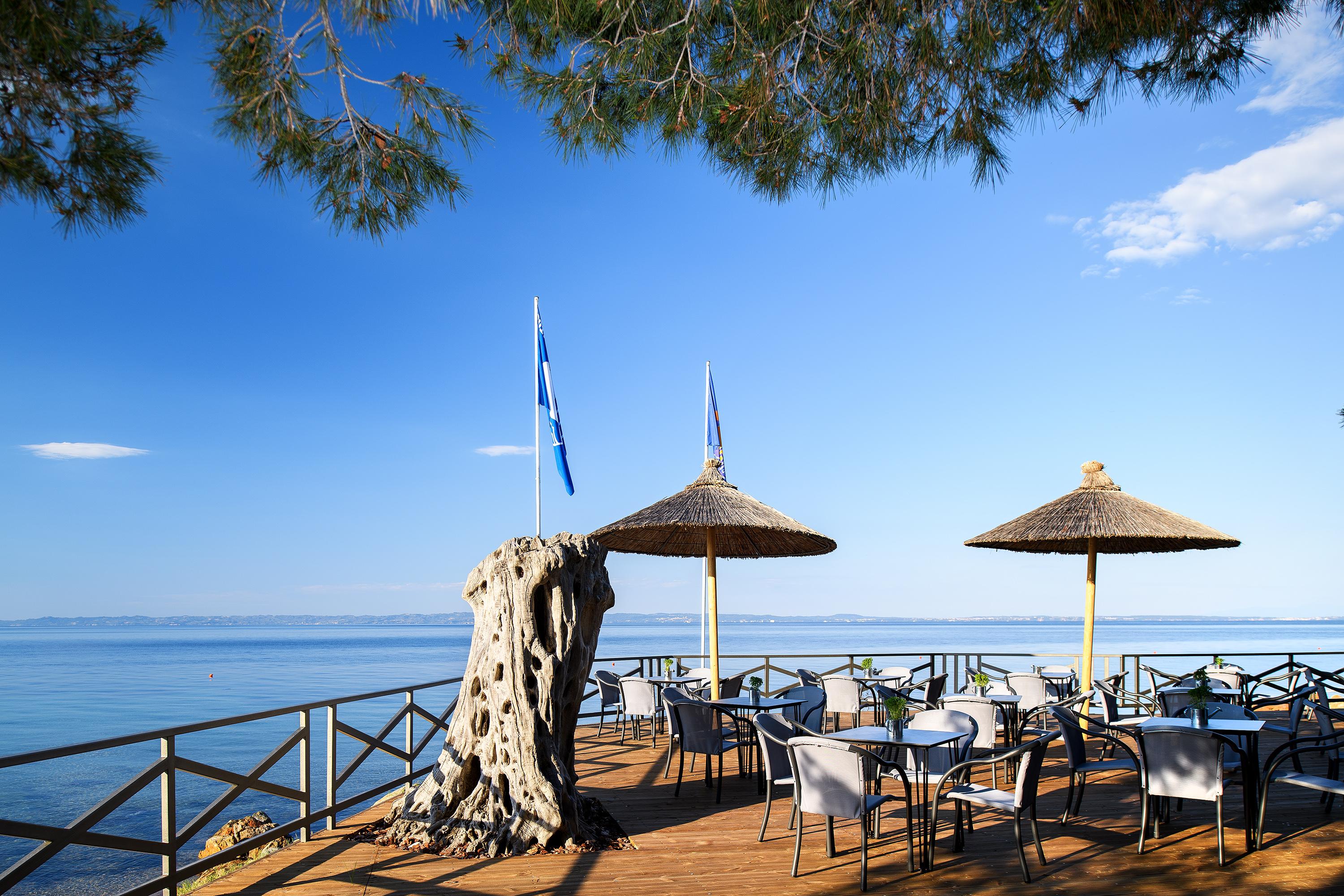 BLUE DOLPHIN HOTEL