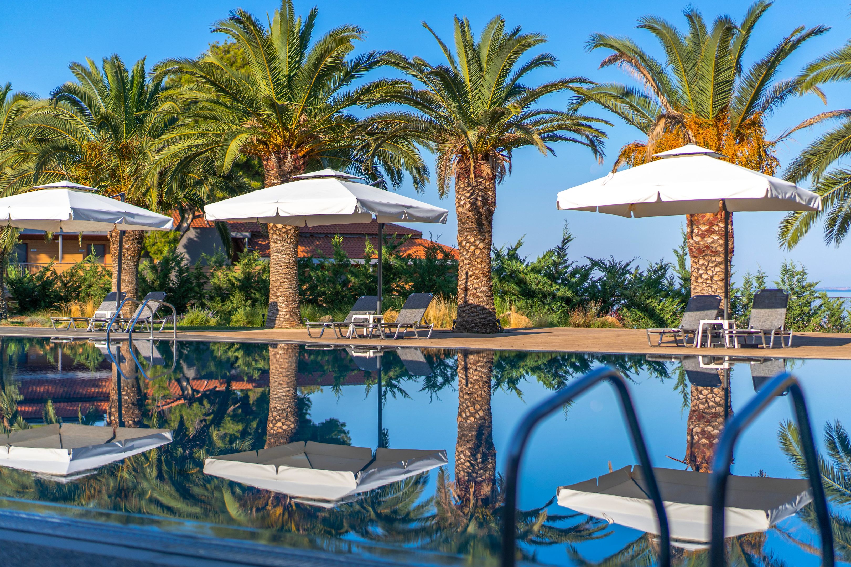 BLUE DOLPHIN HOTEL