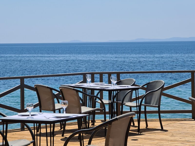 BLUE DOLPHIN HOTEL