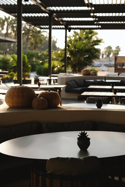 PALOMA ORENDA RESORT