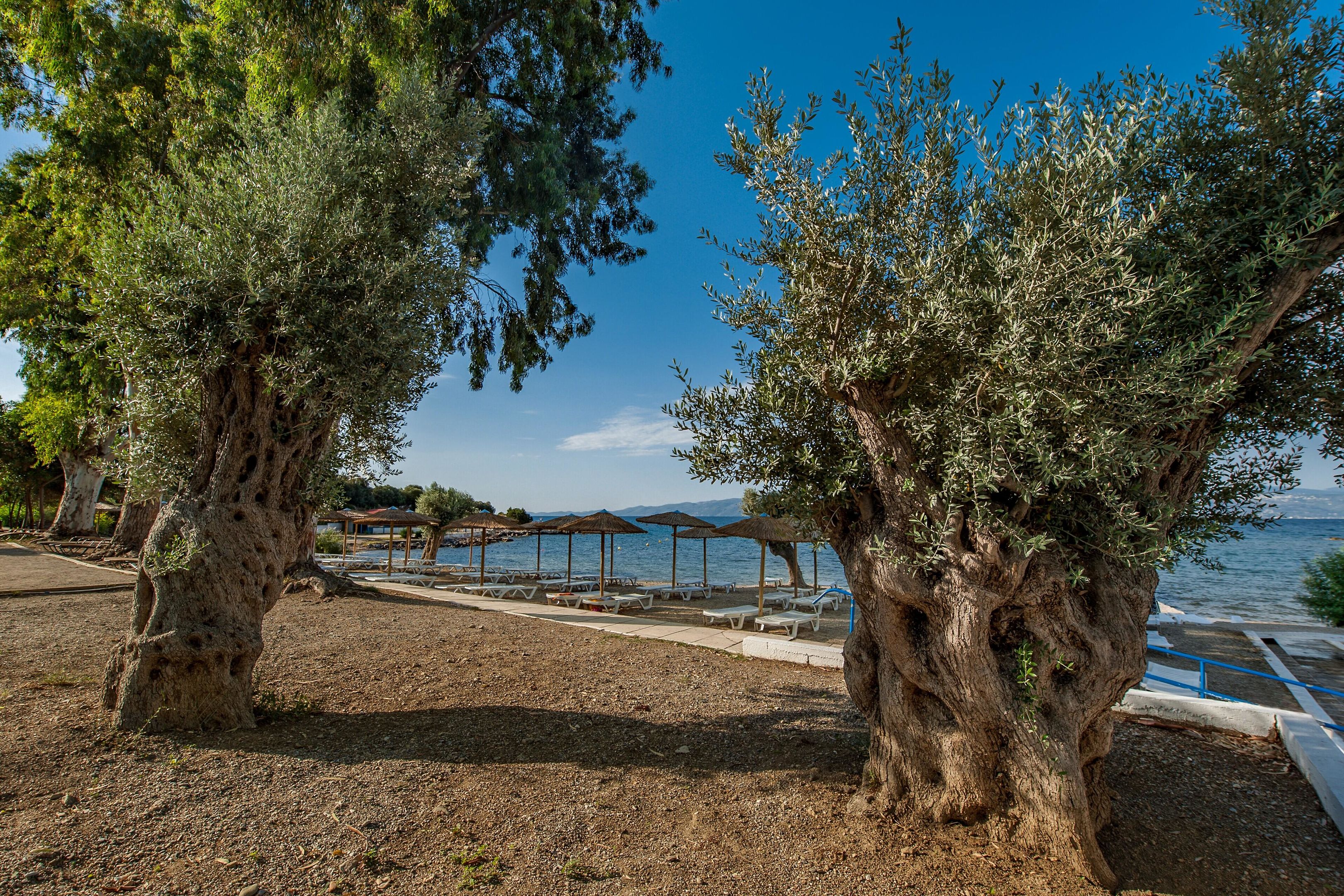 AMARYNTHOS RESORT