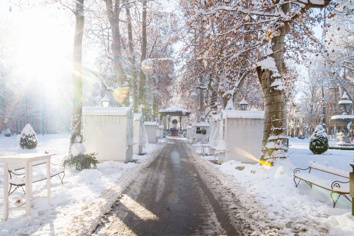 Коледа в Загреб