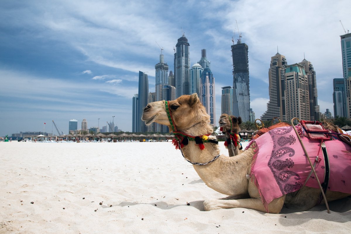 ЛЯТО в ДУБАЙ - 5 дни, с полет на Fly Dubai!