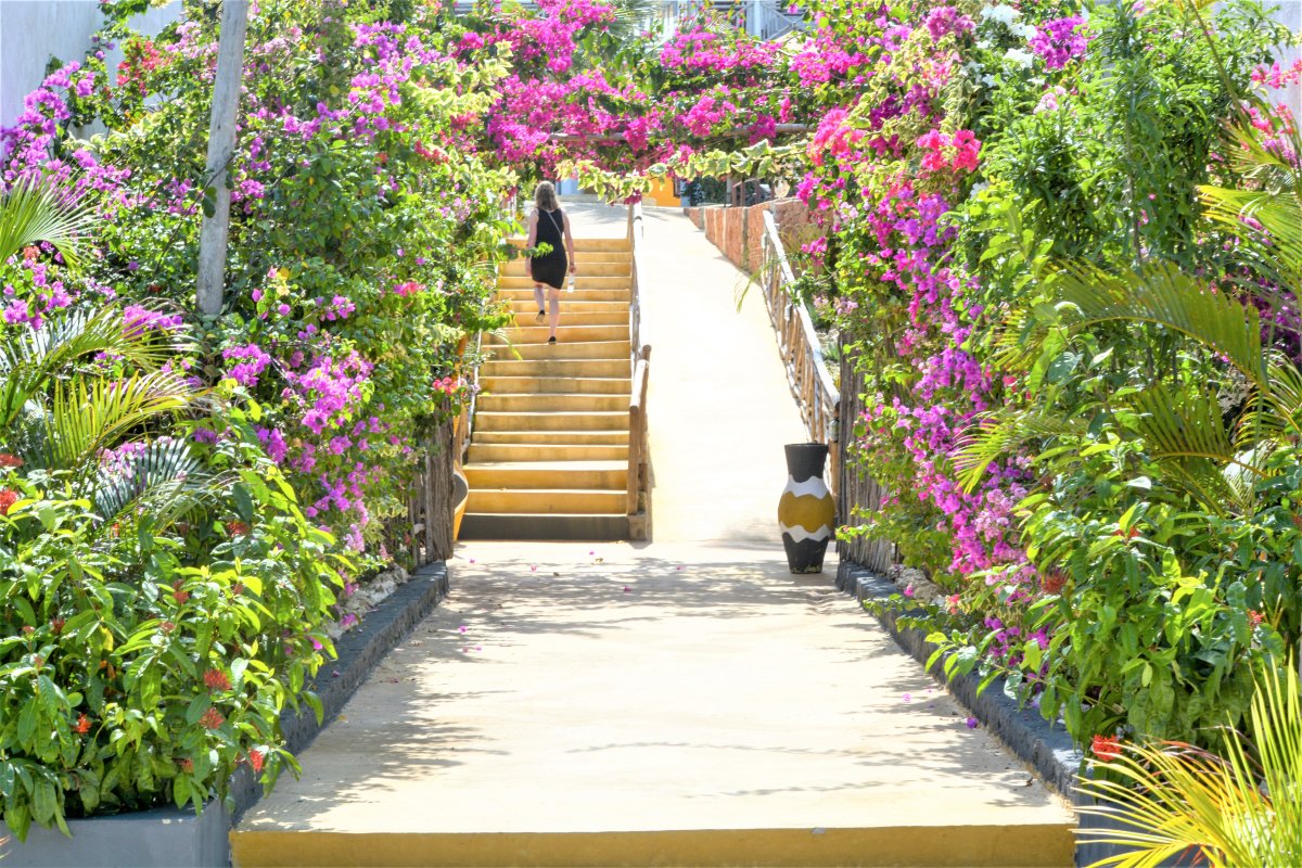 Почивка в ТАНЗАНИЯ - о-в Занзибар в хотели 4* и 5* хотели на първа линия - All inclusive ! Водач от България!